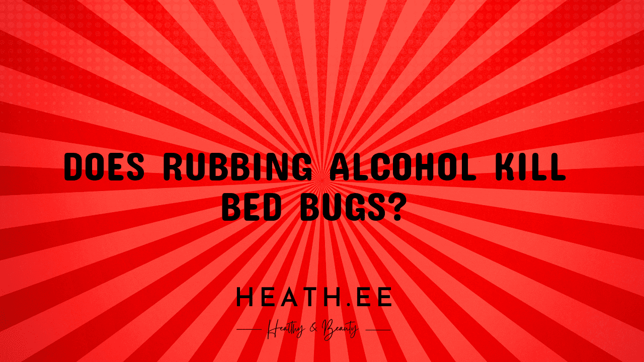 Does Rubbing Alcohol Kill Bed Bugs? - Heathe